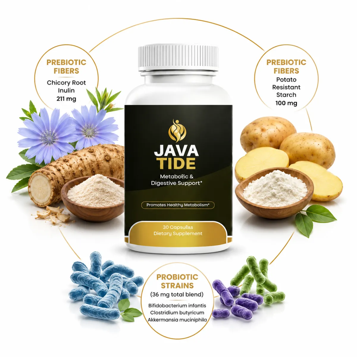 JavaTide Supplement Formula Banner