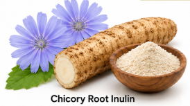 JavaTide Ingredient Chicory Root Inulin 